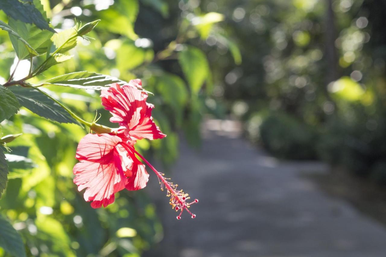 Lanta Island Resort Ko Lanta Eksteriør bilde